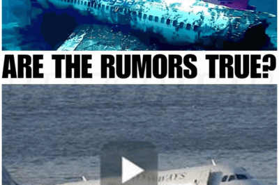 🐻 After 11 Years, Underwater Drone Finally Uncovers Location of Malaysian Flight MH370