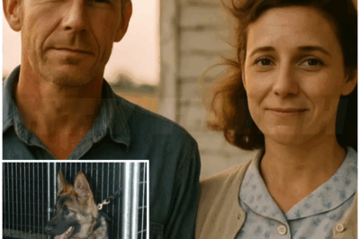 🐻 Husband and Wife Vanish in 1964 — 30 Years Later, A Crate Beneath the Trees Is Found