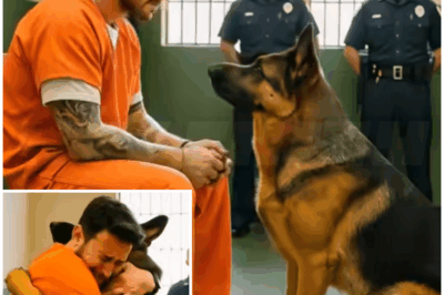 🐧 – His Final Wish Before Execution Was to See His Dog — What Happened Next Changed Everything Forever