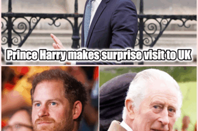 Prince Harry Adds Surprise Stop to U.K. Trip amid Speculation Over King Charles Reunion