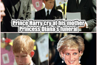 Prince Harry Reveals the Moment He Allowed Himself to Cry at Mom Princess Diana’s Funeral
