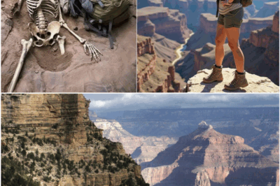 Grand Canyon Mystery Resurfaces: Hiker Uncovers Chilling Evidence a Decade After Young Woman Vanished During Solo Hike