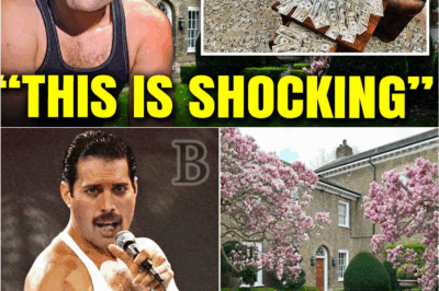 🧳📜 Decades Later, They Found This in Freddie Mercury’s House — And It Changed the Way His Inner Circle Remembered Him Forever 🔍💔
