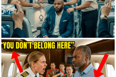 🚑 “Refused the seat, but not the power—he took control and changed everything!💔” A Black CEO’s first-class denial turned into an unforgettable incident when, just 12 minutes later, he grounded the plane and fired the pilot, sending shockwaves through the airline industry. This dramatic twist uncovers issues of race, respect, and authority clashing in a high-stakes environment. What led to this unprecedented move? The shocking story behind the cockpit drama awaits! 👇