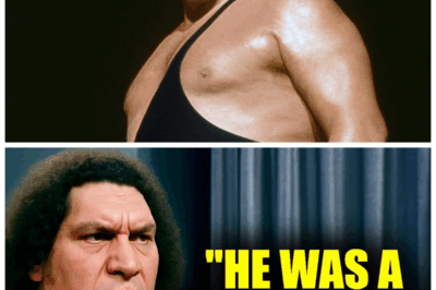 🤼‍♂️⚡️Andre The Giant’s Last Shocking Revelation: The 6 Wrestlers He HATED Most — Secrets That Rocked The Wrestling World!💣😨 On his deathbed, Andre dropped a bombshell naming six wrestlers he despised with a venom that rocked the wrestling universe. This explosive exposé uncovers hidden rivalries, emotional betrayals, and backstage wars that changed the very fabric of wrestling history. Fans will be stunned by the raw truth behind the legend’s final words!👇
