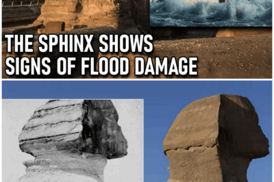Unveiling the Truth: How Water Erosion Reshapes Our Understanding of the Sphinx