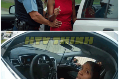 Racist Cop Drags Black Woman From Car – 4 Minutes Later, Brutal Revenge! – HTT