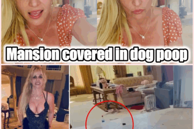 Britney Spears’ Chaotic Mansion Life Sparks Concern Among Friends and Family