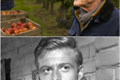 The Untold Story of Why Robert Redford Turned His Back on Hollywood and Vanished Into the Wilderness