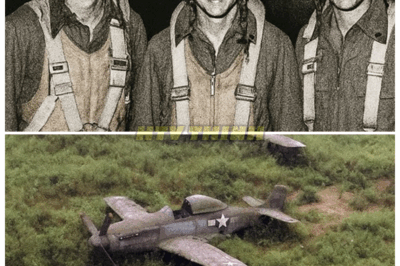 3 Fighter Pilots Vanished In 1944 — 75 Years Later, Their Planes Were Found Almost Intact…