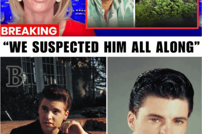 😱“It Was Never an Accident”: What Investigators Found 40 Years Later Changes EVERYTHING We Knew About Ricky Nelson’s Final Moments ✈️💔