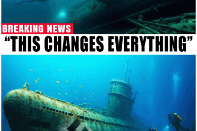 The Haunting Discovery Inside a Nazi Submarine: What Salvage Divers Found Will Leave You Speechless!