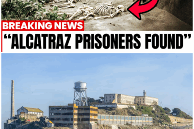 SHOCKING Discoveries: What Scientists Unearthed in Alcatraz Will CHANGE Everything You Thought You Knew!