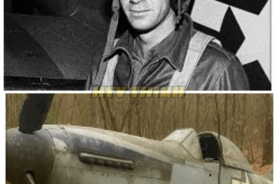 Fighter Pilot Vanished in 1943 — 60 Years Later, His Rusted Plane Was Found in a Forest…