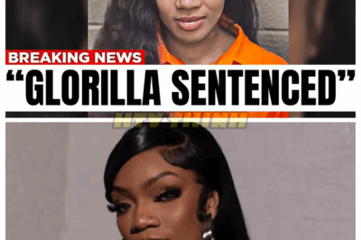GloRilla Sentenced, Goodbye Forever