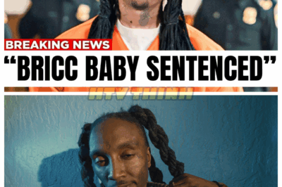 Bricc Baby Sentenced, Goodbye Forever