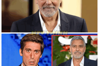 At 64, The Tragedy Of George Clooney Is Beyond Heartbreaking
