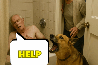 A Loyal Dog’s Quick Thinking Saved His 79-Year-Old Owner’s Life—Proving Love, Courage, and Devotion Have No Age Limit
