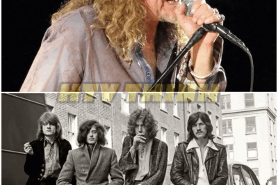 🐿️ CONGRATULATIONS SHOCKER: Rock Legend Robert Plant Crowned by TIME as One of the Top 100 Most Influential in Global Music 🎤🔥 — The Untold Story Behind His Historic Honor Will Leave Fans Stunned, Rivals Speechless, and the Legacy of Led Zeppelin Bigger Than Ever 🤯🎶