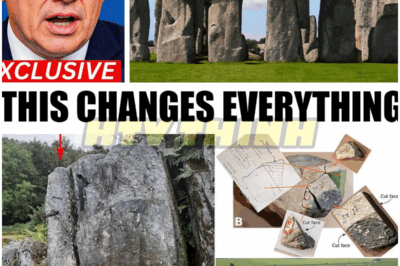 🐿️ Stonehenge Mystery FINALLY CRACKED: Scientists Uncover TERRIFYING Secrets Beneath the Ancient Stones—Dark Rituals, Hidden Chambers, and Evidence of a Chilling Past That Will Haunt History Forever! 🗿😱 – Did Archaeologists Stumble Upon Proof of Ancient Sacrifice, Alien Influence, or Something Even More Sinister? 👽