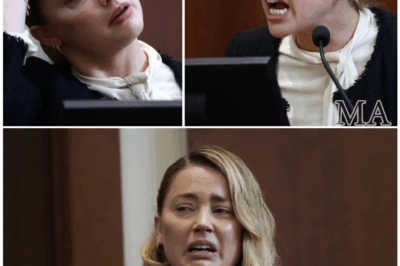🦊 Amber’s Case COLLAPSING? Witnesses & Experts Rip Her ‘Proof’ to Pieces in Explosive Turnaround 📉👇