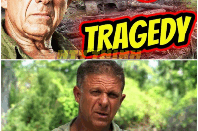 🦊 Shelby Stanga VANISHED From TV — Now the SHOCKING Truth Behind His Disappearance Is Finally Coming to Light 🪓🔥