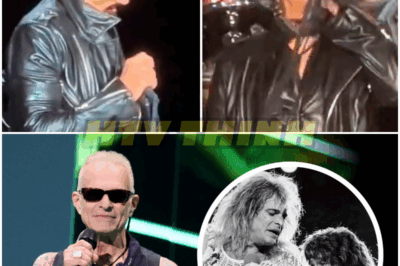 🐿️ David Lee Roth’s Van Halen Singing STRUGGLES Go VIRAL: Internet Meltdown, Fan Outrage, and the Brutal Backlash That’s Shaking Rock Legends—Embarrassing Performances, Savage Memes, and the Shocking Debate Over Roth’s Legacy! 🎤😱