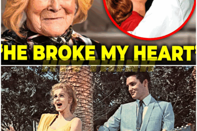 🐿️ At 84, Ann-Margret BREAKS Her Silence On Her Scandalous Affair With Elvis Presley: Explosive Confessions, Heartbreak, and the Forbidden Love That Rocked Hollywood—Secret Rendezvous, Jealousy, and the Untold Betrayal That Changed The King Forever! 💔🎸