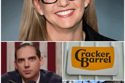 🦊 CRACKER BARREL CHAOS! Unknown Candidate Applies for CEO Role—Says Long John Silver’s Was “Training” 🍤👇