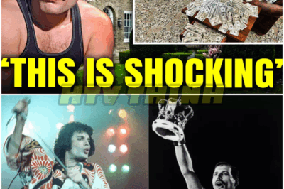 🐿️ What They Found In Freddie Mercury’s London Home SHOCKED His Closest Friends 🎤🔥 Hidden Treasures, Secret Letters, And Startling Confessions Revealed A Side Of The Queen Frontman That Even His Inner Circle Never Knew 👑