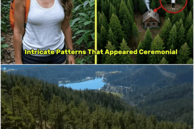 The Mysterious Disappearance in the Sierra Nevada: A Terrifying Discovery Six Years Later