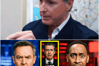 Greg Gutfeld & Stephen A Smith DESTROY Gavin Newsom’s Narrative LIVE!