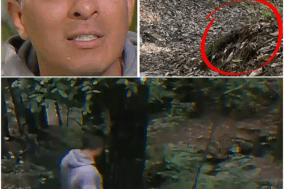 Hiker spots something strange in woods, heart drops when he realizes what it is