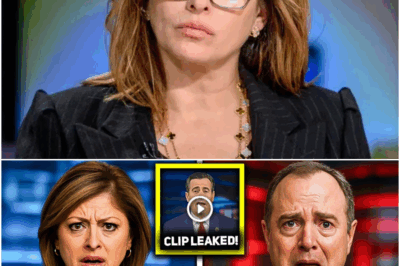Maria Bartiromo DROPS VIDEO RECEIPTS That DESTROY Adam Schiff’s Narrative!