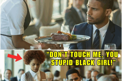 Billionaire CEO Calls Black Waitress ‘Stupid’ – And LOST $3 5B Deal on the SPOT