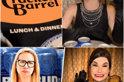 Cracker Barrel’s WOKE Bud Light Secret Connection REVEALED! Same Marketing Team DESTROYED Both!