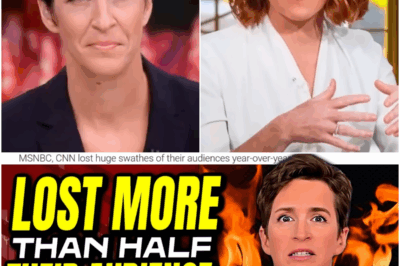 MSNBC and CNN Face SHOCKING Collapse: More than HALF the Audience Has Left the Channels Since 2024!