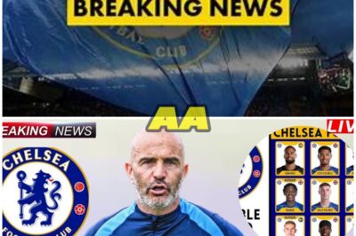 Breaking News: UEFA Clears Chelsea for New Era – Transfer Balance Confirmed