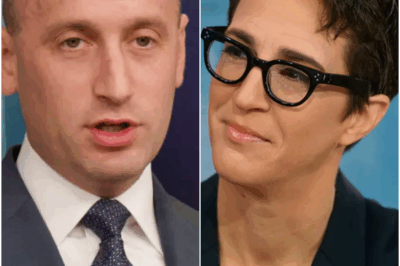 Rachel Maddow’s Rogue Newsroom: A New Era in Media