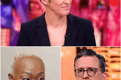 BIG BANG: Rachel Maddow, Stephen Colbert, and Joy Reid Quietly Launch a Newsroom Revolution That Could Change Everything