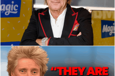 At 80, Rod Stewart Finally Reveals 6 Musicians He Hated The Most!