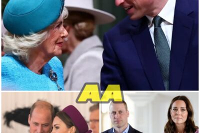 Prince William Shocks the World at Royal Albert Hall With an Unscripted Love Letter to Kate — A Moment That Left Thousands Breathless