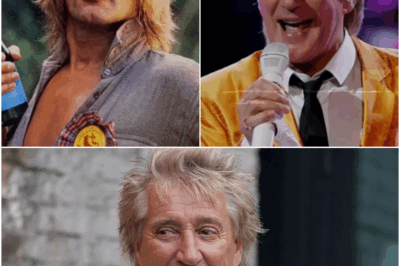 Have You Heard What Happened To Rod Stewart?