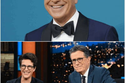 BIG BANG: Rachel Maddow Quietly Launches a Newsroom That MSNBC Never Dreamed Of