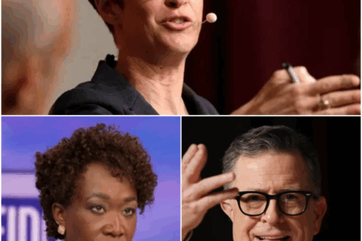 No Bosses, No Scripts, Just Truth — Rachel Maddow’s Rogue Newsroom Has Arrived