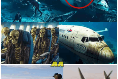 “I Know Where MH370 Really Is”: Richard Godfrey Reveals Stunning New Evidence