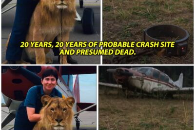 A Mysterious Disappearance: The Vanishing of Louise Brennan