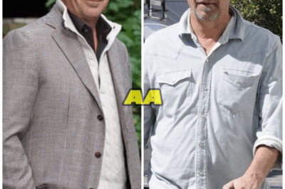 Kevin Costner After Christine Baumgartner: Divorce Battles, Career Chaos, and the Struggle to Rebuild His Life