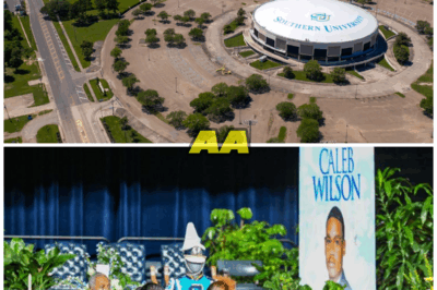Southern University Suspends Professor and Initiates Termination Process