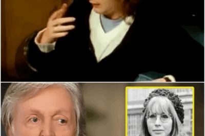 At 82, Paul McCartney FINALLY CONFESSED Tragic Details About CYNTHIA LENNON